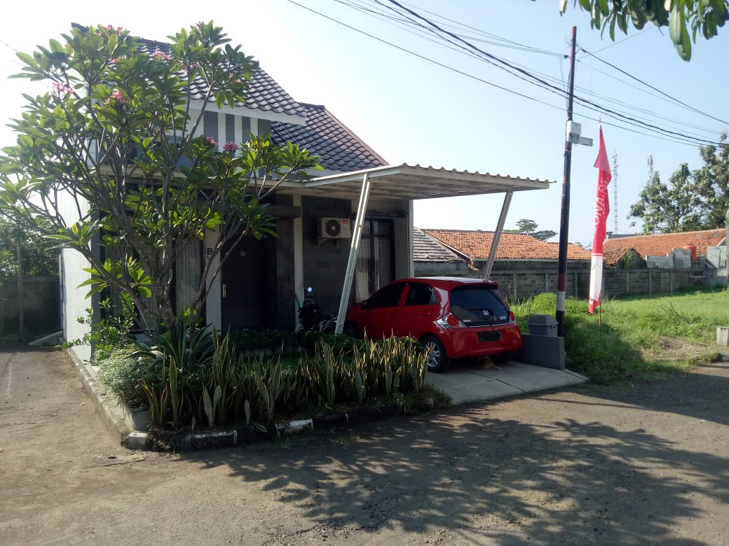 arillo real estate theme